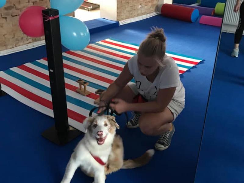 67499692 365179097513562 8209086987026563072 N