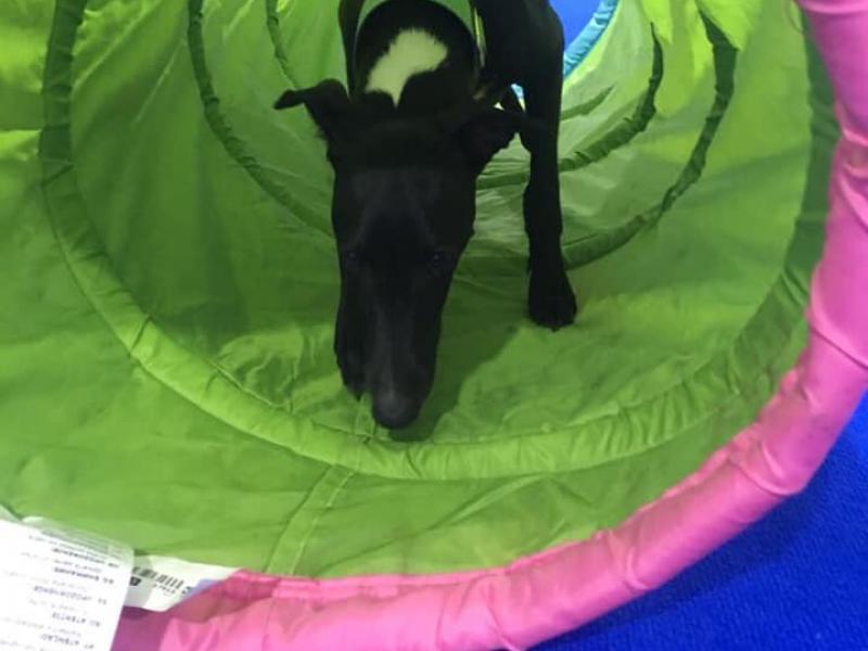 67712391 367024740662331 2102559054588018688 N