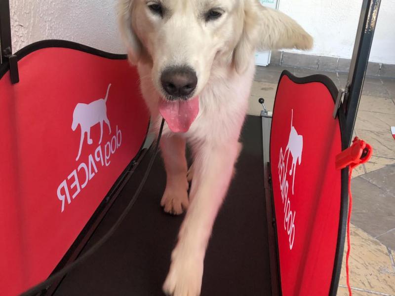 67816238 369320517099420 957244005781864448 O