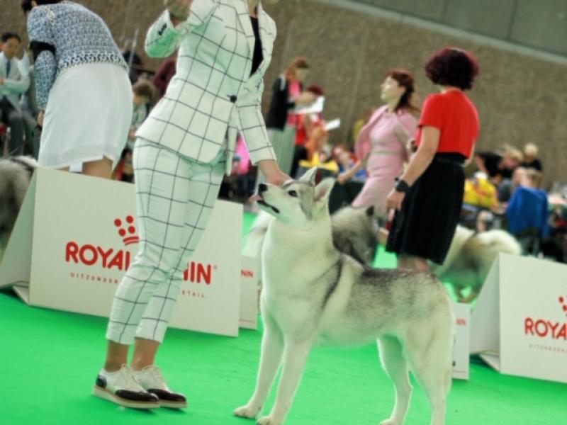 Aleksandra Szydłowska