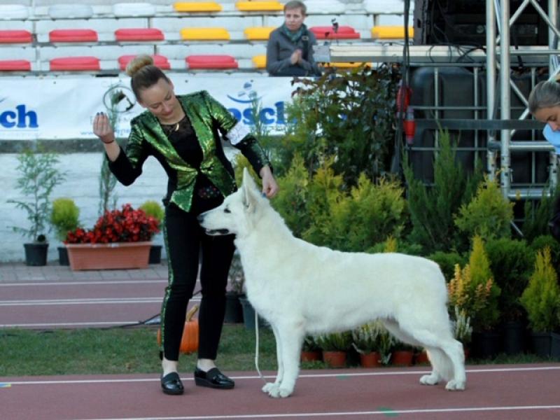 Aleksandra Szydłowska