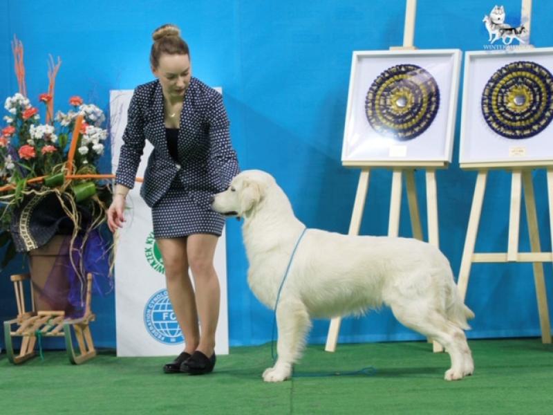 Aleksandra Szydłowska